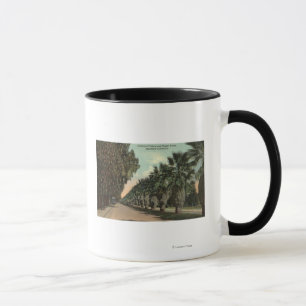 Taza Palmeras y Pepper Tremendos a lo largo de la aveni