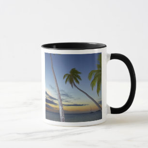 Taza Palmeras y puesta de sol, Plantation Island Resort