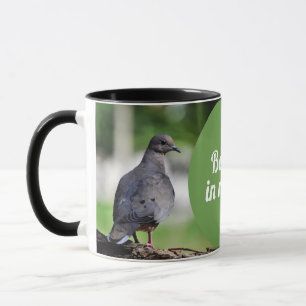 Taza Paloma torcaza o tórtola
