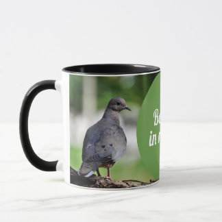 Taza Paloma torcaza o tórtola