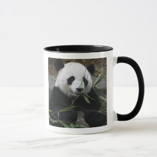 Taza Panda gigante