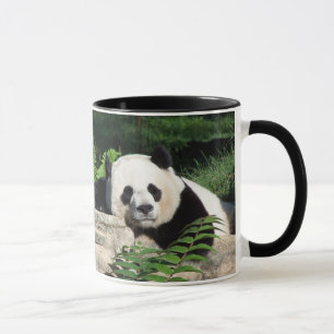 Taza Panda gigante Napping