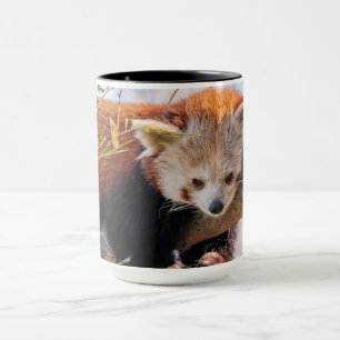 Taza Panda rojiza perezosa