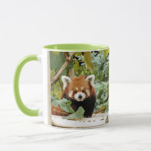 Taza Panda rojo