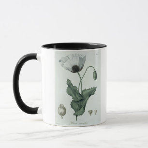 Taza Papaver - somniferum de "Phytographie Medicale"