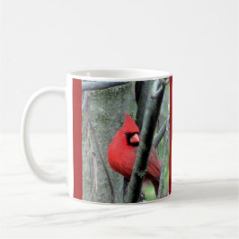 Taza Par de Cardenales machos y hembras (primavera)