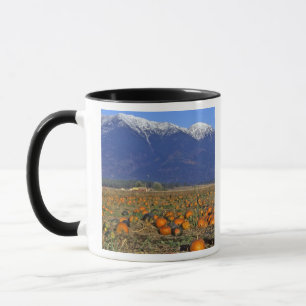 Taza Parche de calabazas del Valle Flathead Montana
