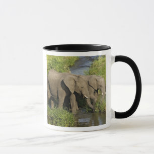 Taza Pareja de elefantes africanos Masai Mara