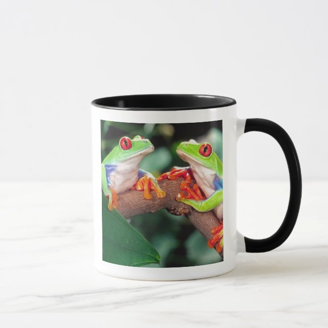 Taza Pareja de ranas de ojos rojos, Agalychinis callidr (Derecha)