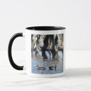 Taza (pares verde azulados Rojo-cargados en cuenta del
