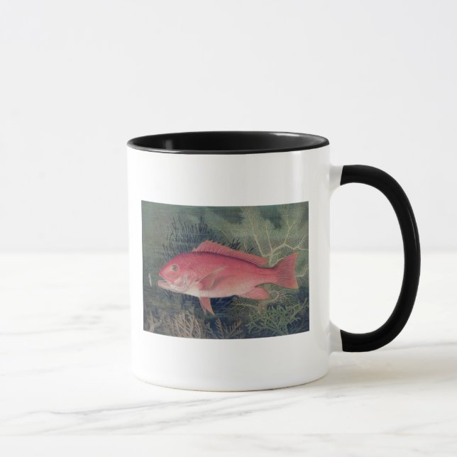 Taza Pargo rojo, de 'pescados del estado unido (Derecha)