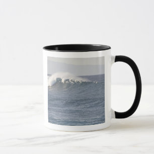 Taza Parque de playa Hookipa, costa norte de Maui,