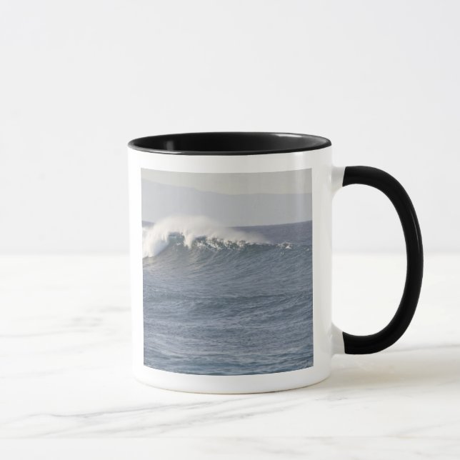 Taza Parque de playa Hookipa, costa norte de Maui, (Derecha)