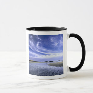 Taza PARQUE ESTATAL DE POPHAM BEACH, MAINE. EE.UU. Cirr
