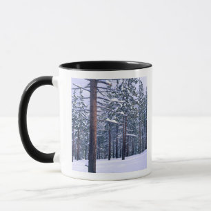 Taza PARQUE ESTATAL DEL LAGO TAHOE, NEVADA. EE. UU. Nie