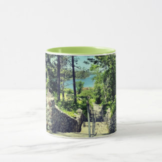 Taza Parque Estatal Itasca 2022