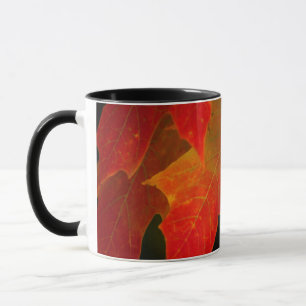 Taza Parque Estatal Itasca, Colores de Otoño 2
