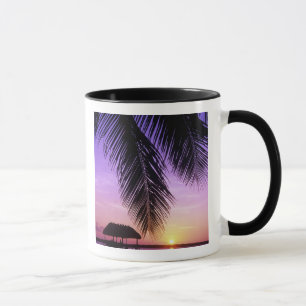 Taza Parque Estatal John Pennekamp, Florida Keys, Clave