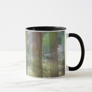 Taza Parque Estatal Scenic Beach