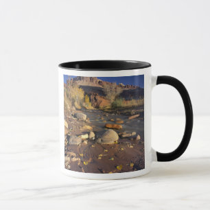 Taza PARQUE NACIONAL CAPITOL REEF, UT, US, Cottonwood