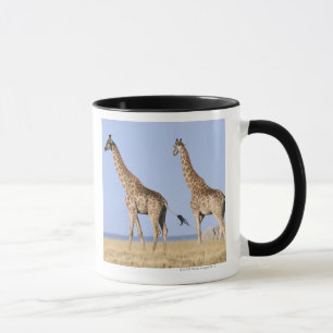 Taza Parque nacional de Etosha, Namibia