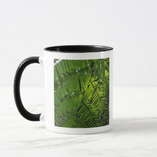 Taza Parque nacional de las mamáes de Bach