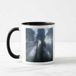 Taza Parque Nacional Redwood, Condado de Del Norte, bru