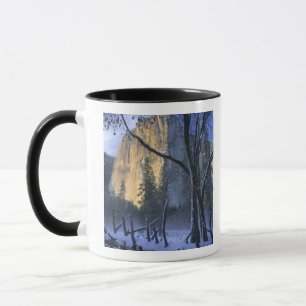 Taza PARQUE NACIONAL YOSEMITE, CALIFORNIA. EE. UU. Luz
