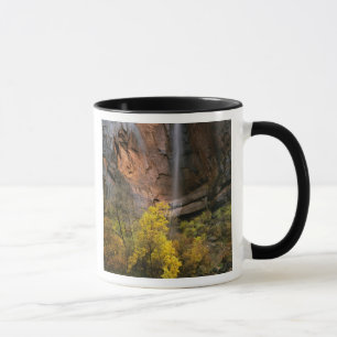 Taza Parque Nacional Zion, Utah. EE. UU. Efímero