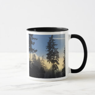 Taza Parque Stanley, bosques, niebla de capa marina que