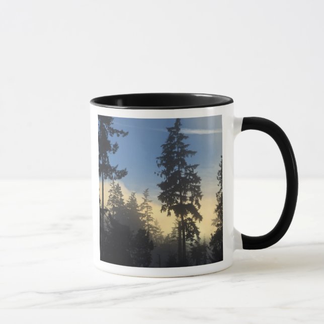 Taza Parque Stanley, bosques, niebla de capa marina que (Derecha)