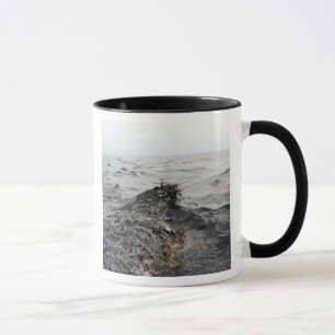 Taza Parte de un pulido de aceite en el Golfo de Méxic