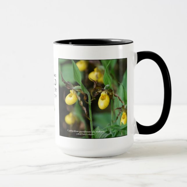 Taza Parviflorum del Cypripedium, señora-deslizador (Derecha)