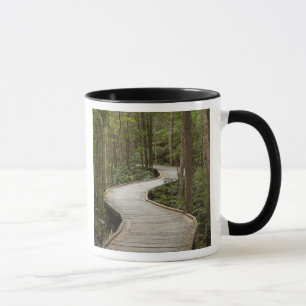 Taza Pasarela a Nelson Falls, Franklin - Gordon