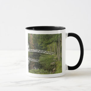 Taza Pasarela blanca, Somesville, Monte Desierto
