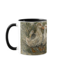 Paseo matutino granja caprichosa pato día lluvioso