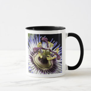 Taza Pasiflora en primer plano (MR)