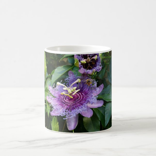 Taza Pasión de la abeja (Centro)