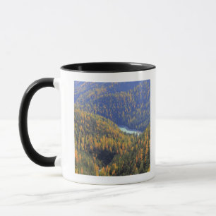 Taza Paso 2 de Fuorn