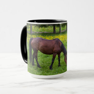 Taza Paso de Tihuta, caballo en pastizal