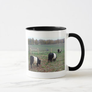 Taza Pastel de vacas Beltie a lo largo de los galloways