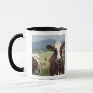 Taza Pasto de vacas