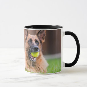 Taza Pastor alemán con bola de tenis