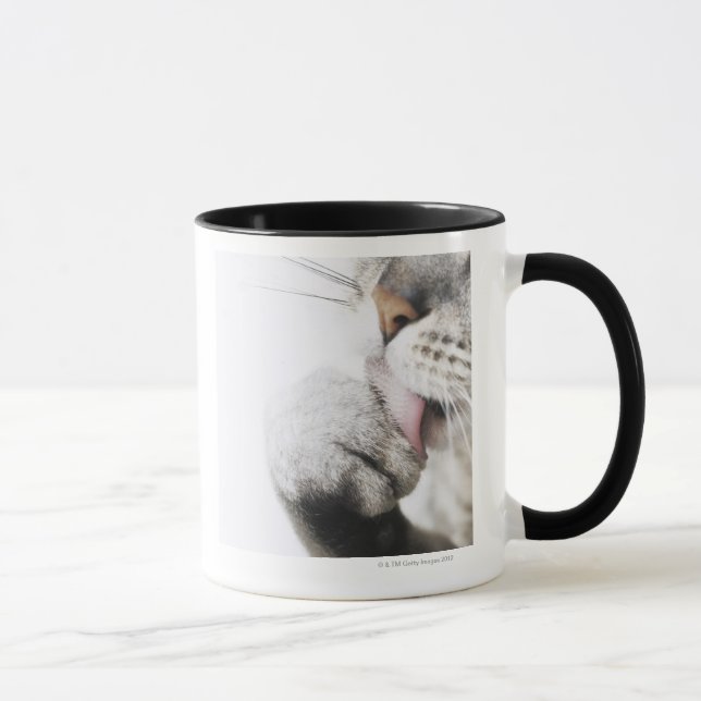 Taza Pata de la limpieza del gato (Derecha)