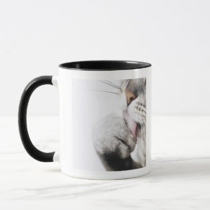 Taza Pata de la limpieza del gato, primer