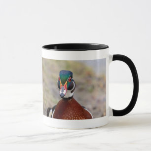 Taza Pato de madera