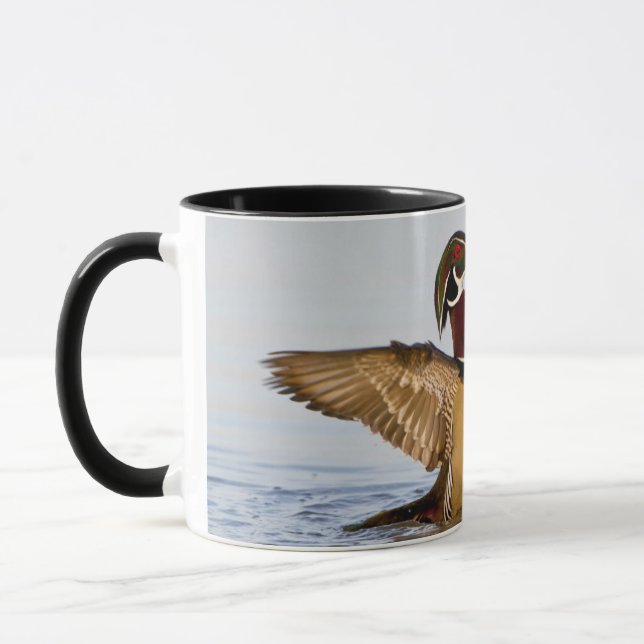 Taza Pato joya macho aleteando en humedal (Izquierda)