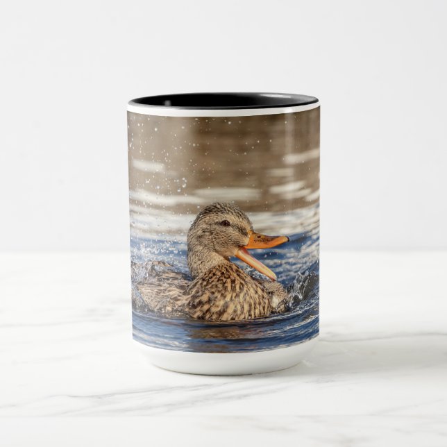 Taza Pato Mallard en Downing Park (Centro)