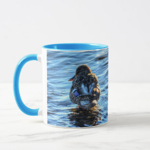 Taza Pato Mallard en río Invierno - Foto de vida silves