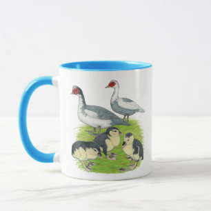 Taza Patos Azules Patas Muscovy Familia